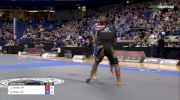 JT Torres vs Garry Tonon ADCC 2017 World Championships