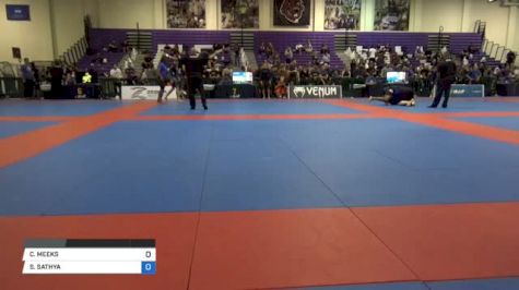 COREY MEEKS vs SATHYA WILTSE Pan IBJJF Jiu Jitsu No Gi Championship