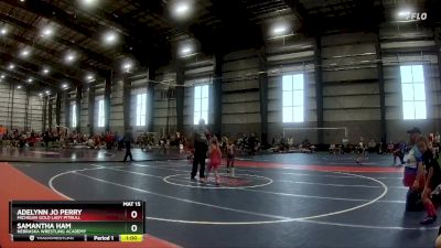 50 lbs Round 2 - Adelynn Jo Perry, Michigan Gold Lady Pitbull vs Samantha Ham, Nebraska Wrestling Academy