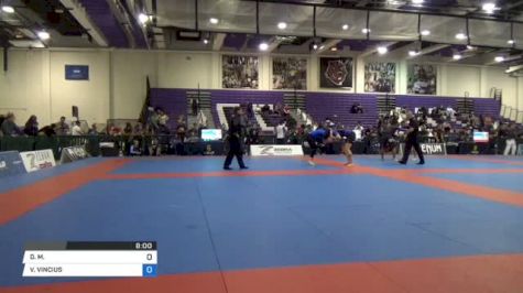 DEVHONTE JOHNSON vs VINCIUS FERREIRA Pan IBJJF Jiu Jitsu No Gi Championship