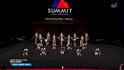 Florida Top Dog All Stars - Wild Ones [2025 L1 Junior - Small Semis] 2025 The Summit