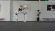 Justin Flores & Jason Hunt Demo Judo for BJJ: Yoko Tomoe Nage