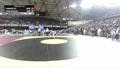 Boys 4A 132 lbs Champ. Round 1 - Andrew Cai, Newport (Bellevue) vs Thad Bradley, Lake Stevens