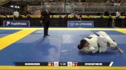 Steven Soo Yung Sin vs Ian Wayne Brown 2025 Pan Jiu Jitsu IBJJF Championship