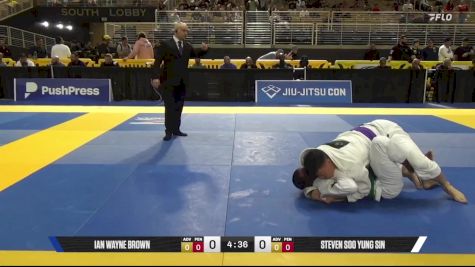 Steven Soo Yung Sin vs Ian Wayne Brown 2025 Pan Jiu Jitsu IBJJF Championship