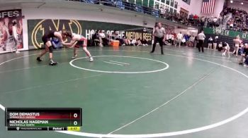 126 lbs Cons. Round 2 - Dom Demastus, Springfield (Akron) vs Nicholas Hageman, Westerville North