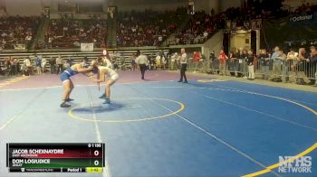 D 1 195 lbs Quarterfinal - Dom Logiudice, Jesuit vs Jacob Schexnaydre, East Ascension