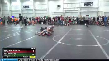 80 lbs Finals (2 Team) - Matthew Rowles, 4M vs Teo Triscaro, Mullet Army N