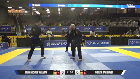 Andrew Ray Harvey vs Brian Michael Warabak 2026 Pan Jiu Jitsu IBJJF Championship