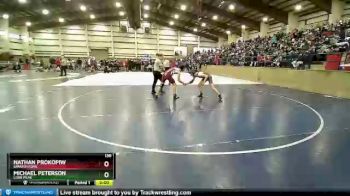 138 lbs Champ. Round 1 - Nathan Prokopiw, Spanish Fork vs Michael Peterson, Lone Peak