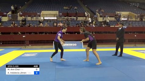 Marie Ann Choi vs Amanda Indalecia Jimenez 2024 Pan IBJJF Jiu-Jitsu No-Gi Championship
