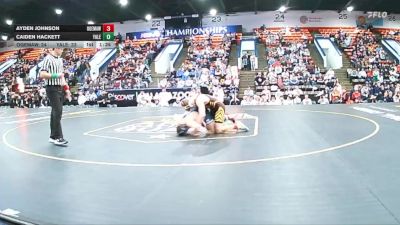 175 lbs Quarterfinals (8 Team) - Caiden Hackett, Yale vs Ayden Johnson, Ogemaw Heights
