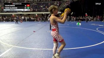 95 lbs Round 2 - Mark Ellingson, Hudson Pirate Elite vs Blake Briese, Amery Warrior`s