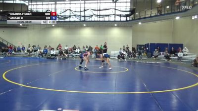 131 lbs Cons. Semi - Abigail Ji, Iowa Lakes CC vs Cieanna Ficken, Hawkeye Community College