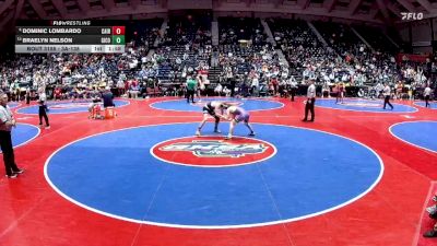 3A-138 lbs Quarterfinal - Dominic Lombardo, Cairo vs Braelyn Nelson, Gilmer County
