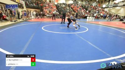 47-51 lbs Quarterfinal - Josie Springfield, Runestone vs Raelynn Gibbens, Viking Wrestling Club