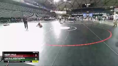 77 lbs Champ. Round 1 - Henry Mills, Cherry Creek Wrestling Club vs Lincoln Wentworth, Twin City Wrestling Club