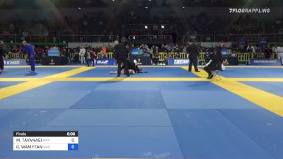 GRÉGORY WAMYTAN vs MANI TAVANAEI 2022 European Jiu-Jitsu IBJJF Championship