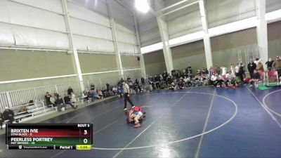 92 lbs Round 3 (4 Team) - Peerless Portrey, Mat Demons vs Brixten Ivie, Utah Black