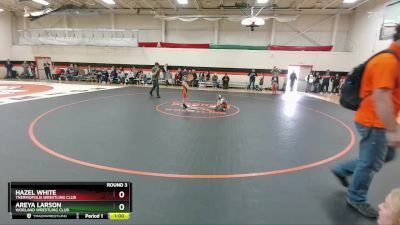 46 lbs Round 3 - Areya Larson, Worland Wrestling Club vs Hazel White, Thermopolis Wrestling Club