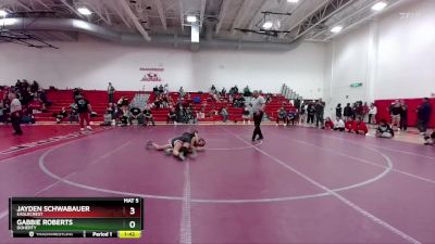 110 lbs Semifinal - Gabbie Roberts, Doherty vs Jayden Schwabauer, Eaglecrest