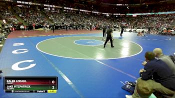 D3-113 lbs Semifinal - Jake Fitzpatrick, Aquinas vs Kaleb Lodahl, Cadott