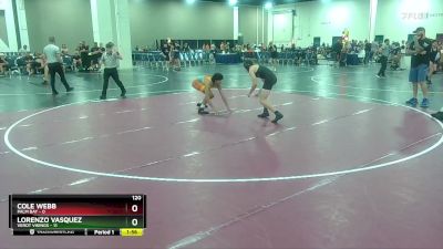 120 lbs Finals (8 Team) - Lorenzo Vasquez, Verot Vikings vs Cole Webb, Palm Bay