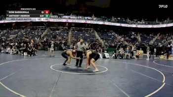 4A 285 lbs 3rd Place Match - Anthony Herron, Cleveland vs Dom Basrawala, Charlotte Catholic High School