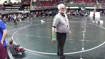 95 lbs Champ. Round 2 - Dominic Lucchino, Lincoln Squires Wrestling Club vs Jackson Halverson, Gordon/Rushville Jr. Wrestling