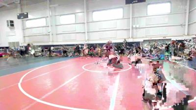 50 lbs 5th Place - Logan Billow, OH vs Lincoln Davis, PA