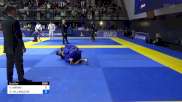 Soma Soltesz vs DANIEL VILLANUEVA 2024 European Jiu-Jitsu IBJJF Championship