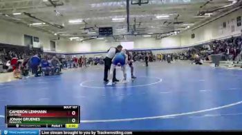 170 lbs Champ. Round 2 - Jonah Gruenes, Minneota vs Cameron Lehmann, Elk River