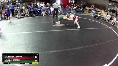 95 lbs Round 4 (6 Team) - Tucker McLennan, Minnesota Gold vs Lincoln Bastian, Idaho