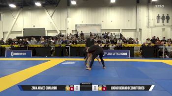 Lucas Luciano Bessin Torres vs Zack Ahmed Ghalayini 2025 World IBJJF Jiu-Jitsu No-Gi Championship