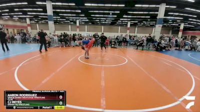 105 lbs Quarterfinal - Aaron Rodriguez, Gracie Barra Westchase Wrestling Club vs Cj Reyes, Ohana HQ Wrestling