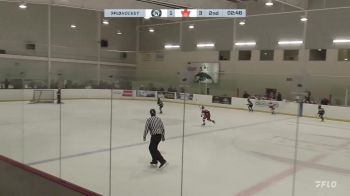 Replay: Home - 2024 Niagara U10 vs Nationals U10 | Nov 29 @ 4 PM