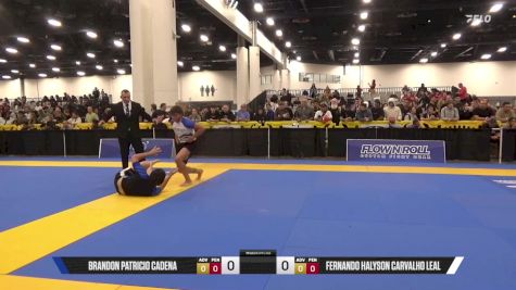 Brandon Patricio Cadena vs Fernando Halyson Carvalho Leal 2025 World IBJJF Jiu-Jitsu No-Gi Championship