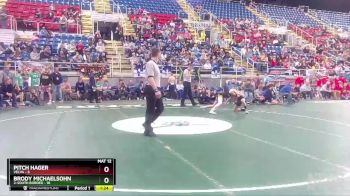 113 lbs Quarterfinals (8 Team) - Brody Michaelsohn, 2-South Border vs Pitch Hager, Velva