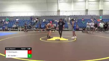 123 lbs Cons. Round 3 - Wayne Harden, Death Squad vs Christopher Dominguez, Lagrange Wrestling Club