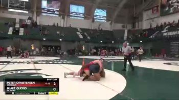 285 lbs Cons. Round 3 - Peter Christensen, Wisconsin vs Blake Querio, Michigan