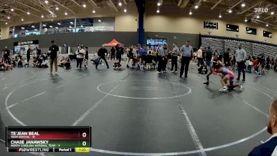 115 lbs Round 1 (8 Team) - Te`Jean Beal, Team Gotcha vs Chase Janawsky, North Carolina National Team