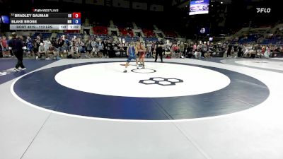 113 lbs Champ. Rd Of 128 - Bradley Bauman, OH vs Blake Brose, MN