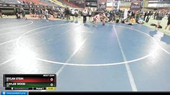 145 lbs Cons. Round 1 - Cayleb Wood, WY vs Dylan Stein, IA