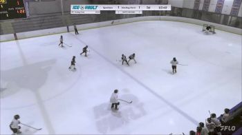 Replay: Home - 2024 Paramus vs Hockey Farm PW | Apr 8 @ 5 PM