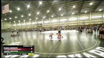 95 lbs Cons. Round 1 - Sloan Andrews, Sanderson Wrestling Academy vs Lessie Carlston, Top Of Utah