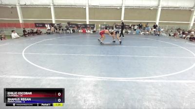 113 lbs Placement Matches (8 Team) - Emilio Escobar, California vs Shamus Regan, Pennsylvania