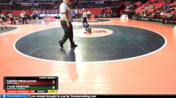 2A 126 lbs Champ. Round 1 - Tyler Weidman, Grayslake (Central) vs Carter Mikolajczak, Lemont (H.S.)