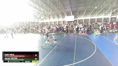 48 lbs Cons. Round 2 - Tuff Mele, Bridger Valley Bruins Wrestlin vs Ridge Deeter, Sanderson Wrestling Academy