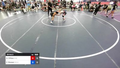 100 lbs Rr Rnd 3 - Aedan Dillow, Beat The Streets Chicago vs Payton Rosser, Beat The Streets Detroit