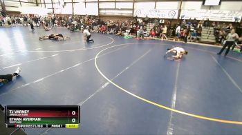105 lbs Cons. Round 2 - Ethan Averman, Westlake vs Tj Varney, American Fork